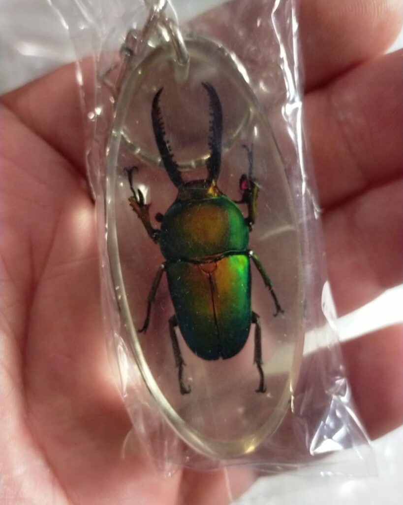 491396887_17899493223187056_6069980920787898578_n Insect Keychains