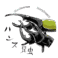 Hans Insect